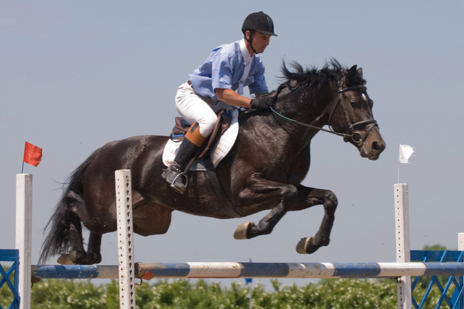 Jahanje konjev je več kot le šport ali hobi